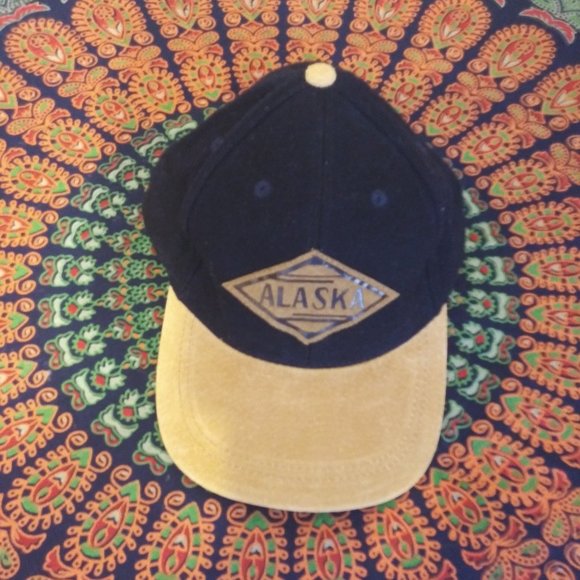 Arctic Circle Enterprises Other - Nice ALASKA Ball Cap